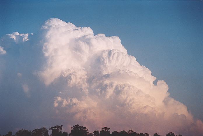 updraft thunderstorm_updrafts : Jerrys Plains, NSW   1 September 2001
