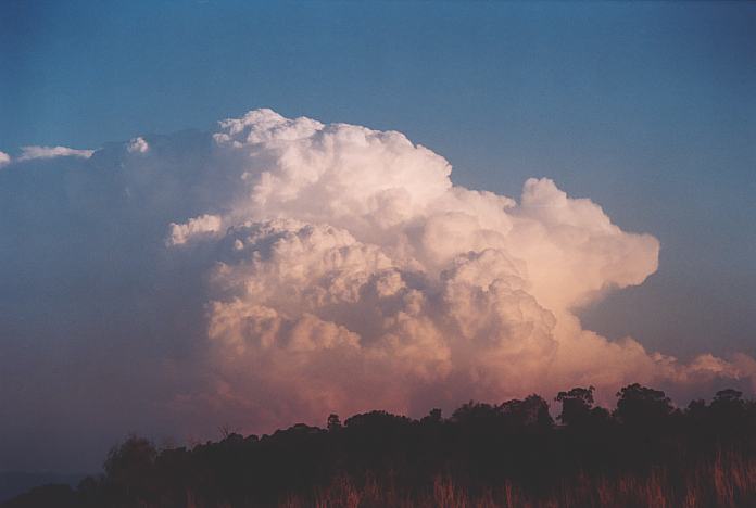 updraft thunderstorm_updrafts : Jerrys Plains, NSW   1 September 2001