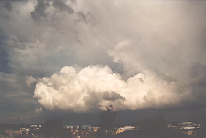 cumulus congestus : Evans High Blacktown, NSW   12 September 2001