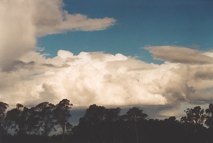 cumulus congestus : Rooty Hill, NSW   12 September 2001