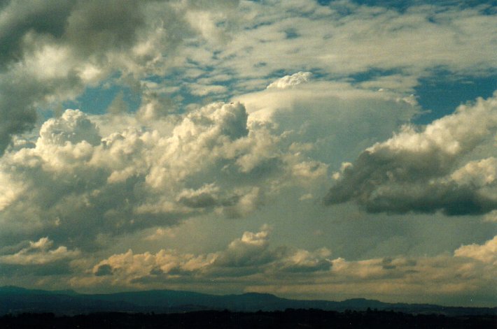 cumulus congestus : McLeans Ridges, NSW   14 September 2001