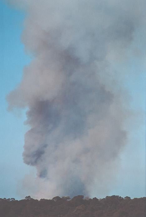 bushfire wild_fire : Schofields, NSW   29 September 2001