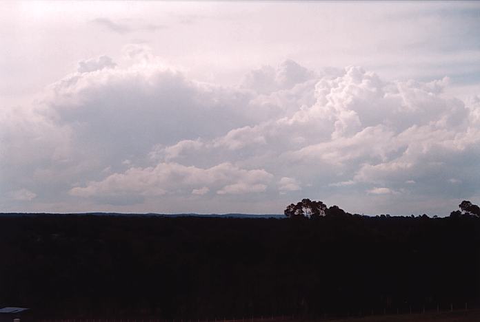 cumulus congestus : The Oaks, NSW   2 October 2001