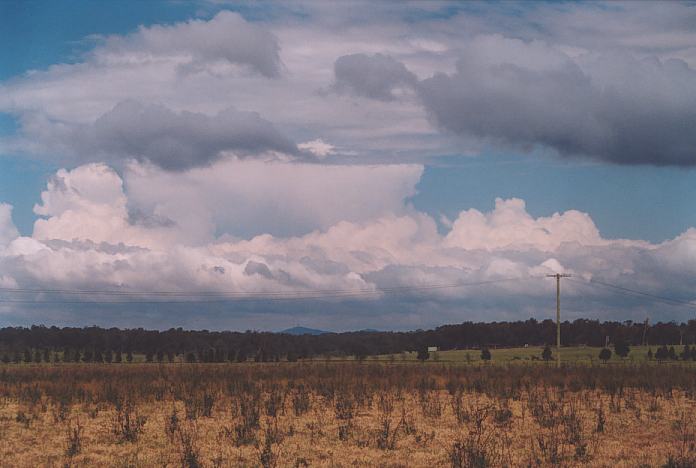 thunderstorm cumulonimbus_incus : Morpeth, NSW   3 October 2001