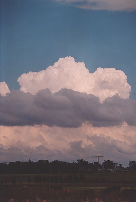 thunderstorm cumulonimbus_calvus : Morpeth, NSW   3 October 2001