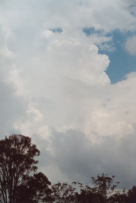 thunderstorm cumulonimbus_incus : Booral, NSW   11 November 2001