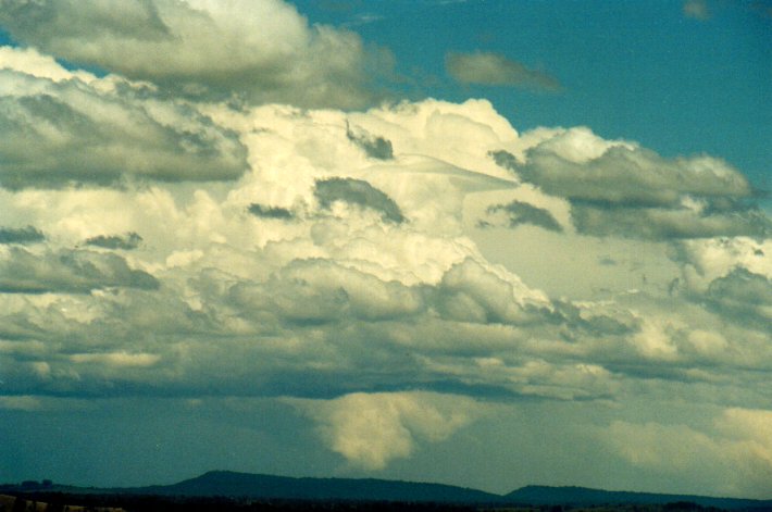 thunderstorm cumulonimbus_incus : Parrots Nest, NSW   11 November 2001