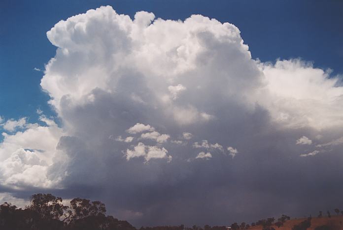 thunderstorm cumulonimbus_incus : NE of Gulgong, NSW   18 November 2001