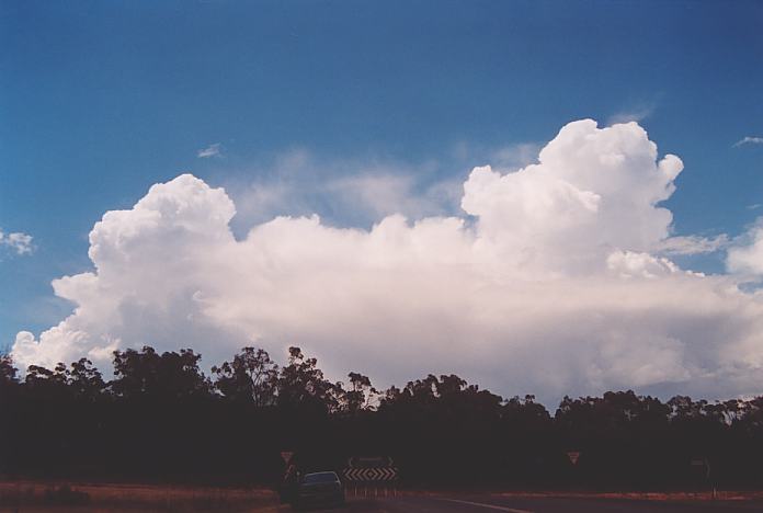 thunderstorm cumulonimbus_incus : Intersection Golden Highway and road to Gulgong, NSW   18 November 2001