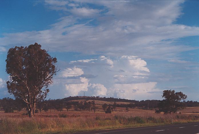 cumulonimbus supercell_thunderstorm : Muswellbrook, NSW   18 November 2001