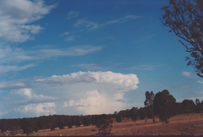 cumulonimbus supercell_thunderstorm : Muswellbrook, NSW   18 November 2001