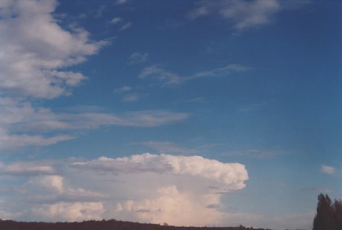 thunderstorm cumulonimbus_incus : E of Muswellbrook, NSW   18 November 2001
