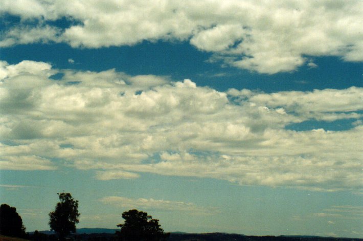 altocumulus castellanus : McLeans Ridges, NSW   18 November 2001