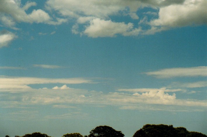 altocumulus castellanus : McLeans Ridges, NSW   18 November 2001