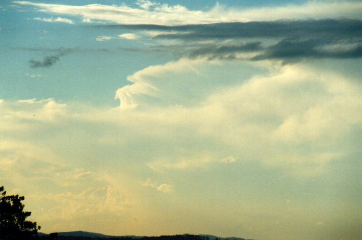 thunderstorm cumulonimbus_incus : McLeans Ridges, NSW   18 November 2001