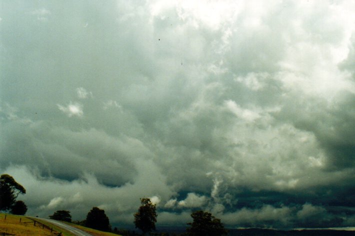 cumulus congestus : McLeans Ridges, NSW   19 November 2001