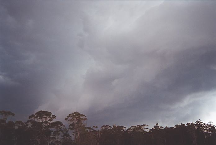 cumulonimbus supercell_thunderstorm : 5km S of Bulahdelah, NSW   24 November 2001