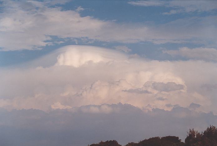 cumulonimbus supercell_thunderstorm : Hallidays Point, NSW   24 November 2001