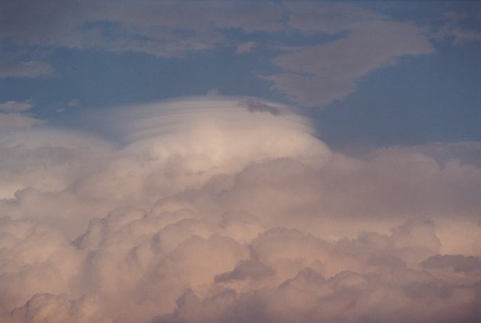 cumulonimbus supercell_thunderstorm : Hallidays Beach, NSW   24 November 2001