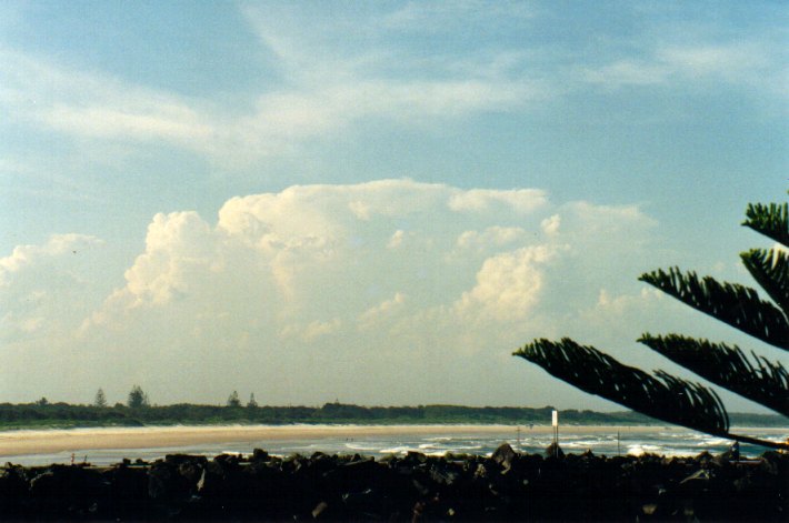 thunderstorm cumulonimbus_incus : Evans Head, NSW   1 December 2001