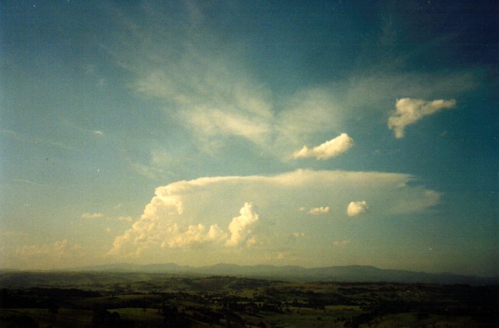 thunderstorm cumulonimbus_incus : McLeans Ridges, NSW   1 December 2001