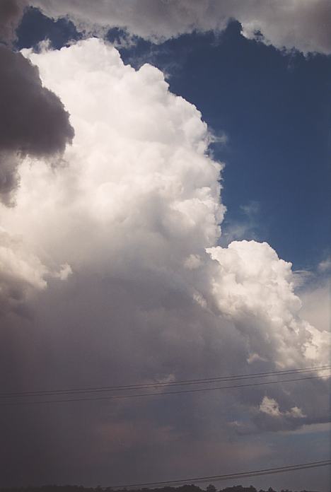 thunderstorm cumulonimbus_incus : Bellingen, NSW   3 December 2001