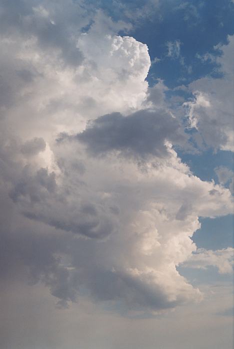 updraft thunderstorm_updrafts : Macksville, NSW   3 December 2001