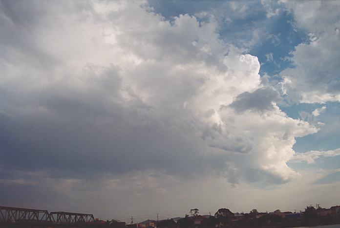 thunderstorm cumulonimbus_incus : Macksville, NSW   3 December 2001