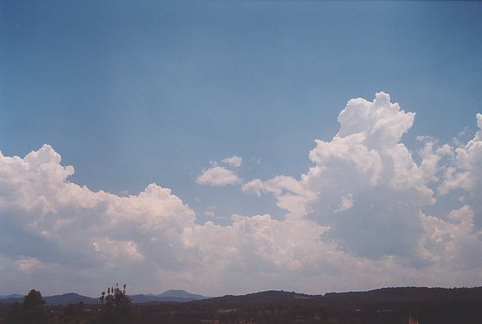 thunderstorm cumulonimbus_calvus : near Urunga, NSW   4 December 2001