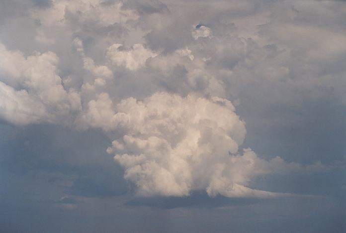 thunderstorm cumulonimbus_incus : North Beach, NSW   4 December 2001