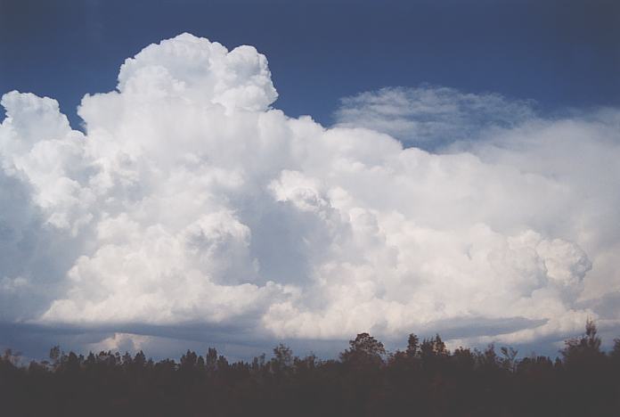 thunderstorm cumulonimbus_incus : Urunga, NSW   4 December 2001