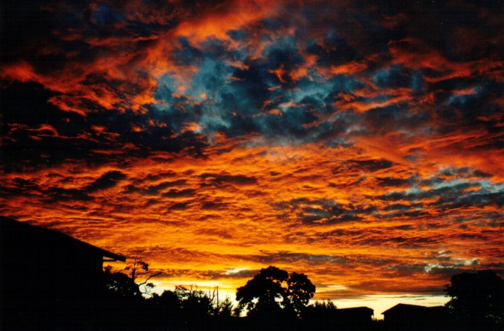 sunset sunset_pictures : McLeans Ridges, NSW   10 December 2001