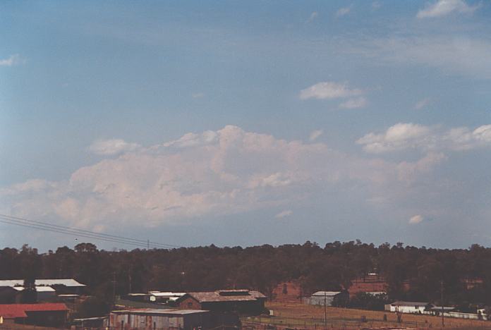 thunderstorm cumulonimbus_incus : Schofields, NSW   13 December 2001