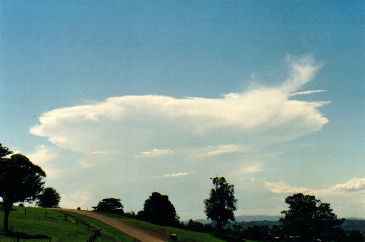 thunderstorm cumulonimbus_incus : McLeans Ridges, NSW   19 December 2001