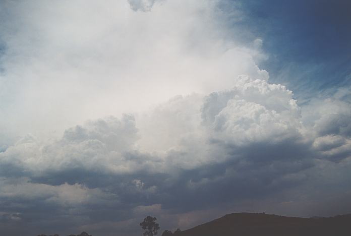 thunderstorm cumulonimbus_incus : Mulbring, NSW   21 December 2001