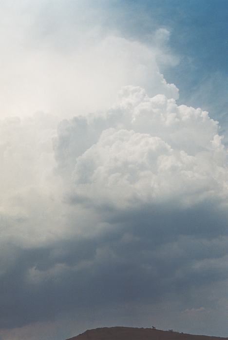 thunderstorm cumulonimbus_incus : Mulbring, NSW   21 December 2001