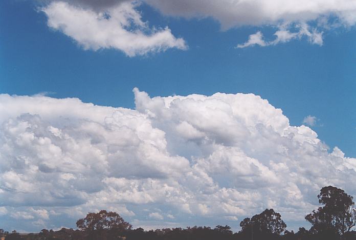thunderstorm cumulonimbus_incus : Walcha, NSW   22 December 2001