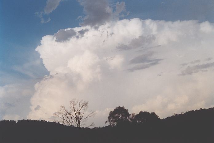 cumulonimbus supercell_thunderstorm : S of Kew, NSW   22 December 2001
