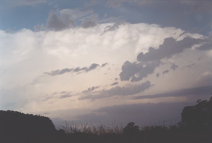 thunderstorm cumulonimbus_incus : S of Kew, NSW   22 December 2001