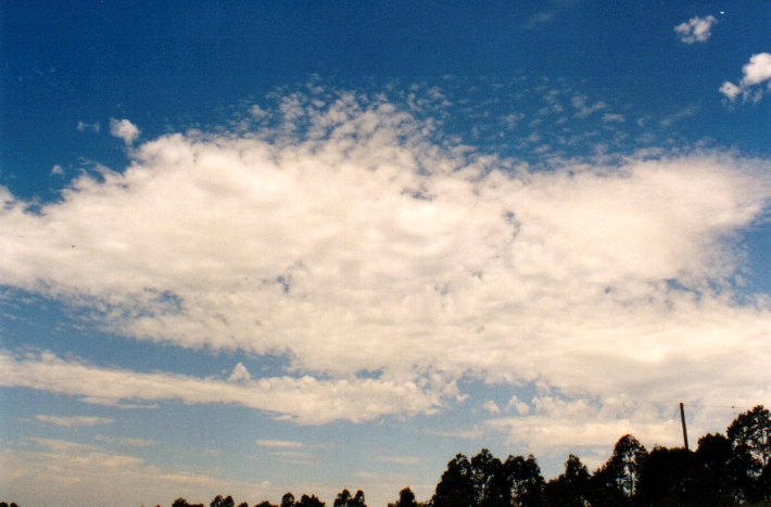 altocumulus castellanus : McLeans Ridges, NSW   22 December 2001