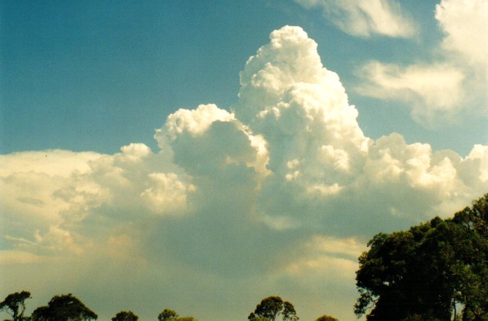 cumulus congestus : Woodburn, NSW   22 December 2001