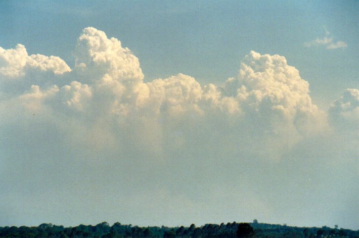 cumulus pyrocumulus : Lindendale, NSW   24 December 2001