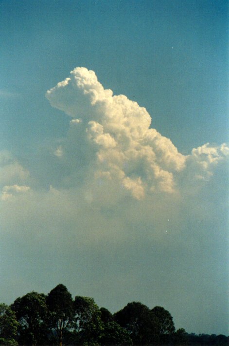 cumulus pyrocumulus : Lindendale, NSW   24 December 2001