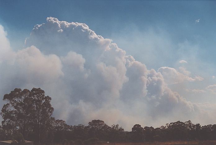 cumulus pyrocumulus : Schofields, NSW   25 December 2001
