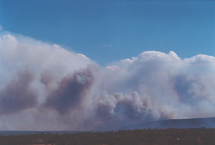 cumulus pyrocumulus : Kurrajong, NSW   26 December 2001