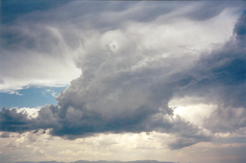 cumulus congestus : N of Casino, NSW   30 December 2001