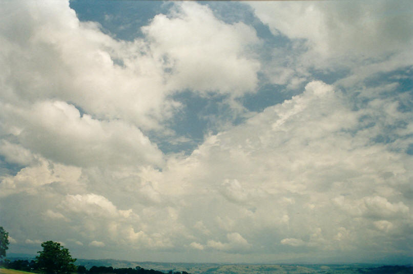 cumulus congestus : McLeans Ridges, NSW   6 January 2002