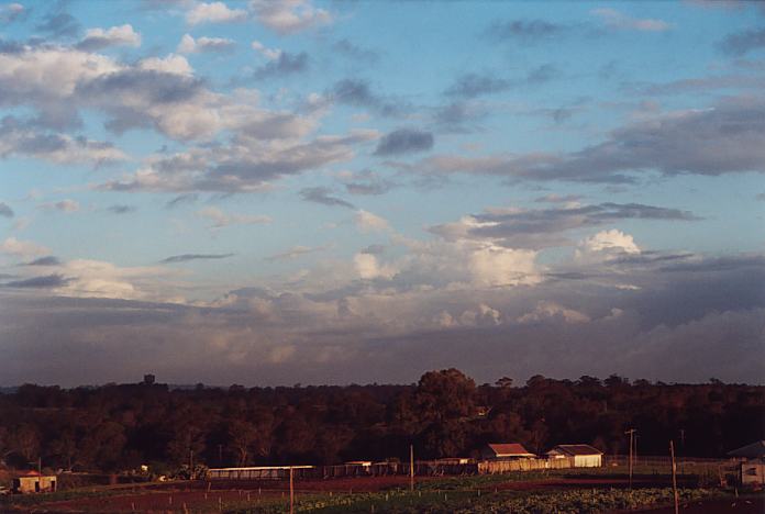 altocumulus castellanus : Schofields, NSW   6 February 2002