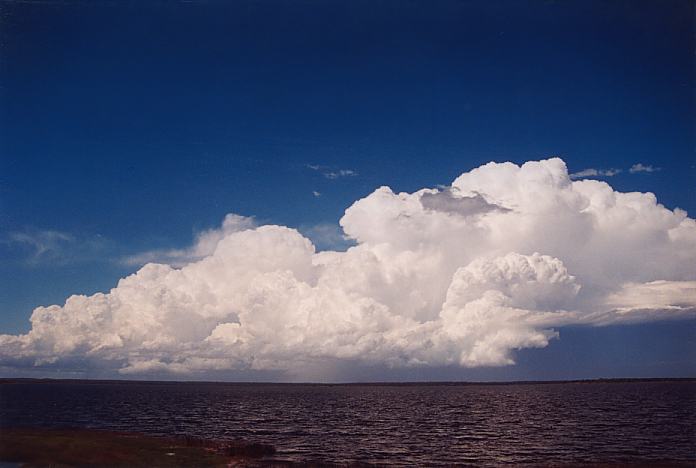 thunderstorm cumulonimbus_incus : E of Raymond Terrace, NSW   8 February 2002