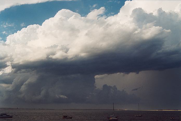 updraft thunderstorm_updrafts : Port Stephens, NSW   8 February 2002